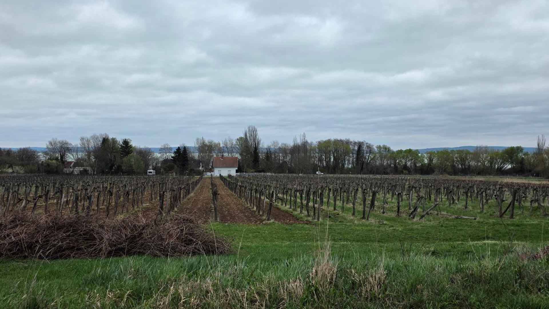A telekről balatoni panorámát láthatunk