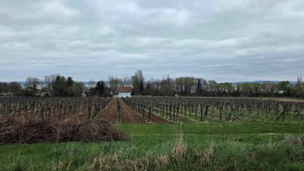 A telekről balatoni panorámát láthatunk